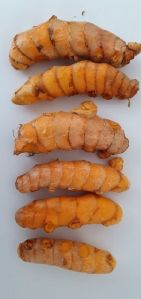 turmeric finger, Packaging Type : Orange
