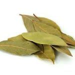 bay leaf