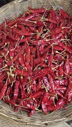 Indian Dry Red Chilli