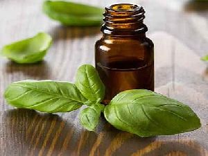 Basil Leaf Oil