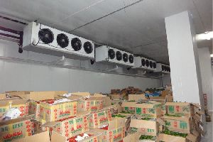 Fruit And Vegetable Cold Room
