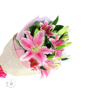 Pink Oriental Lily Flower