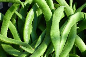 Fresh Runner Beans