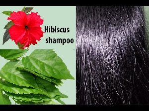 Ashly Ayur Herbal Hibiscus Hair Shampoo