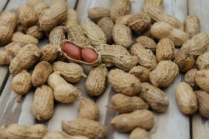 Shelled Peanut