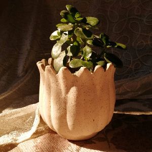 Lotus Ceramic Planter