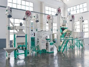 30T/D Rice Mill Plant