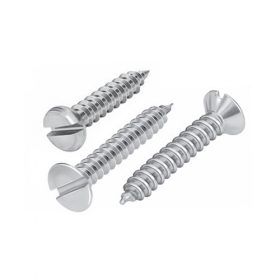Stainless Steel Slotted Self Tapping Screws