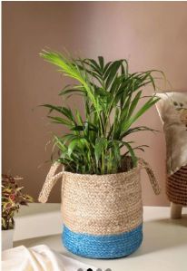 Jute Planters