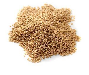 Hulled Wheat Grain