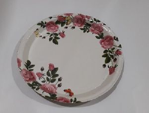 Disposable Printed Buffet Plates