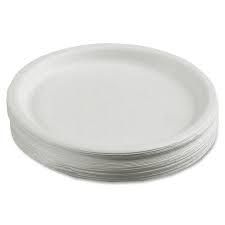Disposable White Sitting Plates