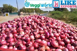export quality onions