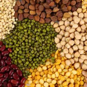 Pulses &amp; Cereals