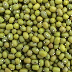 green mung beans
