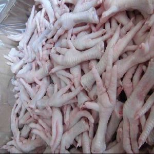 Frozen Quality Frozen Brasil Halal chicken Meat / Fresh / Frozen / Processed Chicken Feet / Paws / C