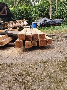 Ecuador Teak