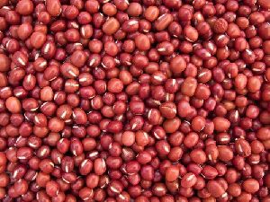 Red Sorghum Seeds