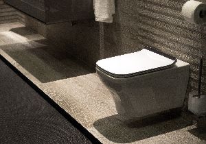ceramic toilets