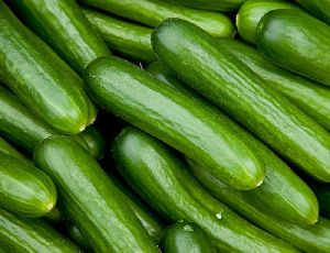 fresh cucumber