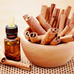 Cinnamon Bark Oil