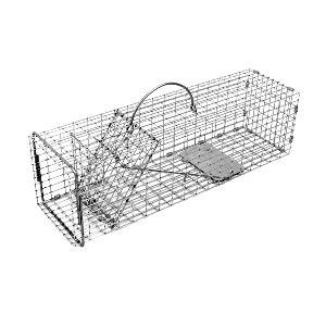 collapsible animal trap