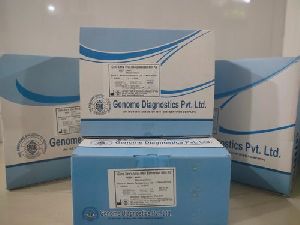 RT PCR Detection Kit for COVID-19