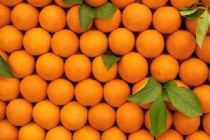 Fresh Premium Kinnow Orange