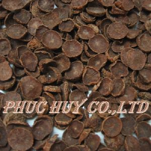Dried Betel Nuts / Areca nut