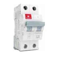 C Series DP Miniature Circuit Breaker