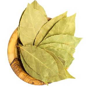 Dried Bay Leaves