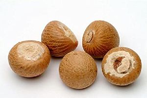 Natural Areca Nuts