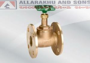 Brass Globe valve