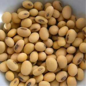 Soya Bean (Bhatwan)