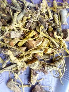 Salacia Reticulata Roots