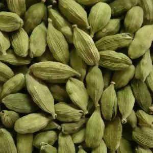 cardamom