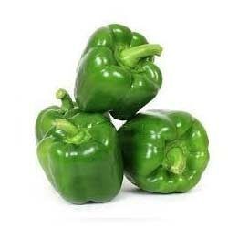 fresh green capsicum