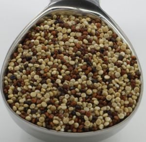 Tri Color Quinoa - Tote (1000 Kilograms)