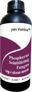Phosphorus solublizing fungus