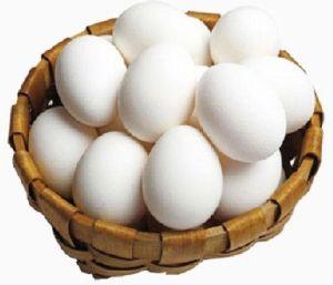 white eggs