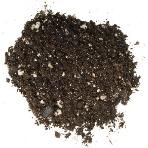Plant Option Organic Potting Soil for Indoor Plants Plant Gardening