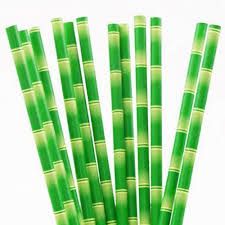 Paper & Bamboo Straws