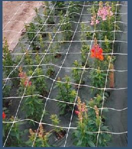Flower Fencing Net