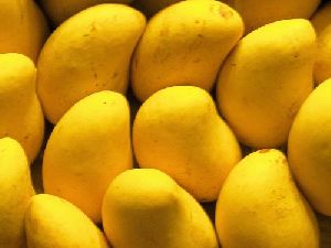 Banganpali Mango