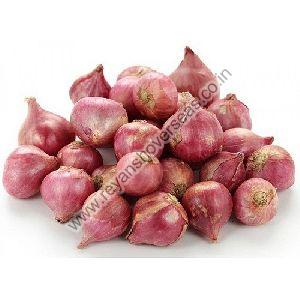 Fresh Sambar Onion