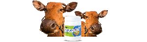 Biofit Cattle Feed Concentrate