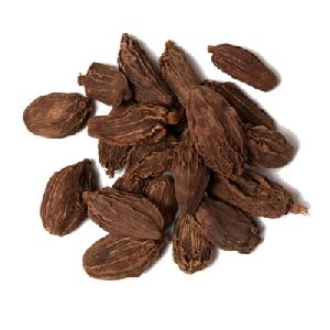 black cardamom