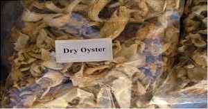 dry oyster mashroom