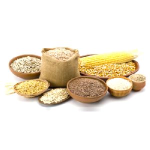 Grain Distillery Enzyme