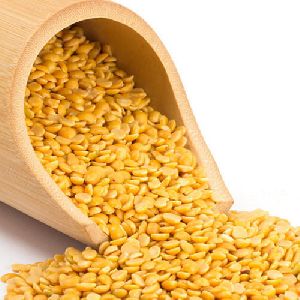 Food Grains & Cereals
